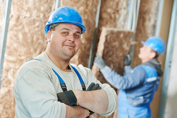 Best Geographic-Specific Insulation Services in Braddock Heights, MD